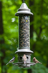 Wild Birds Unlimited Eliminator Bird Feeder